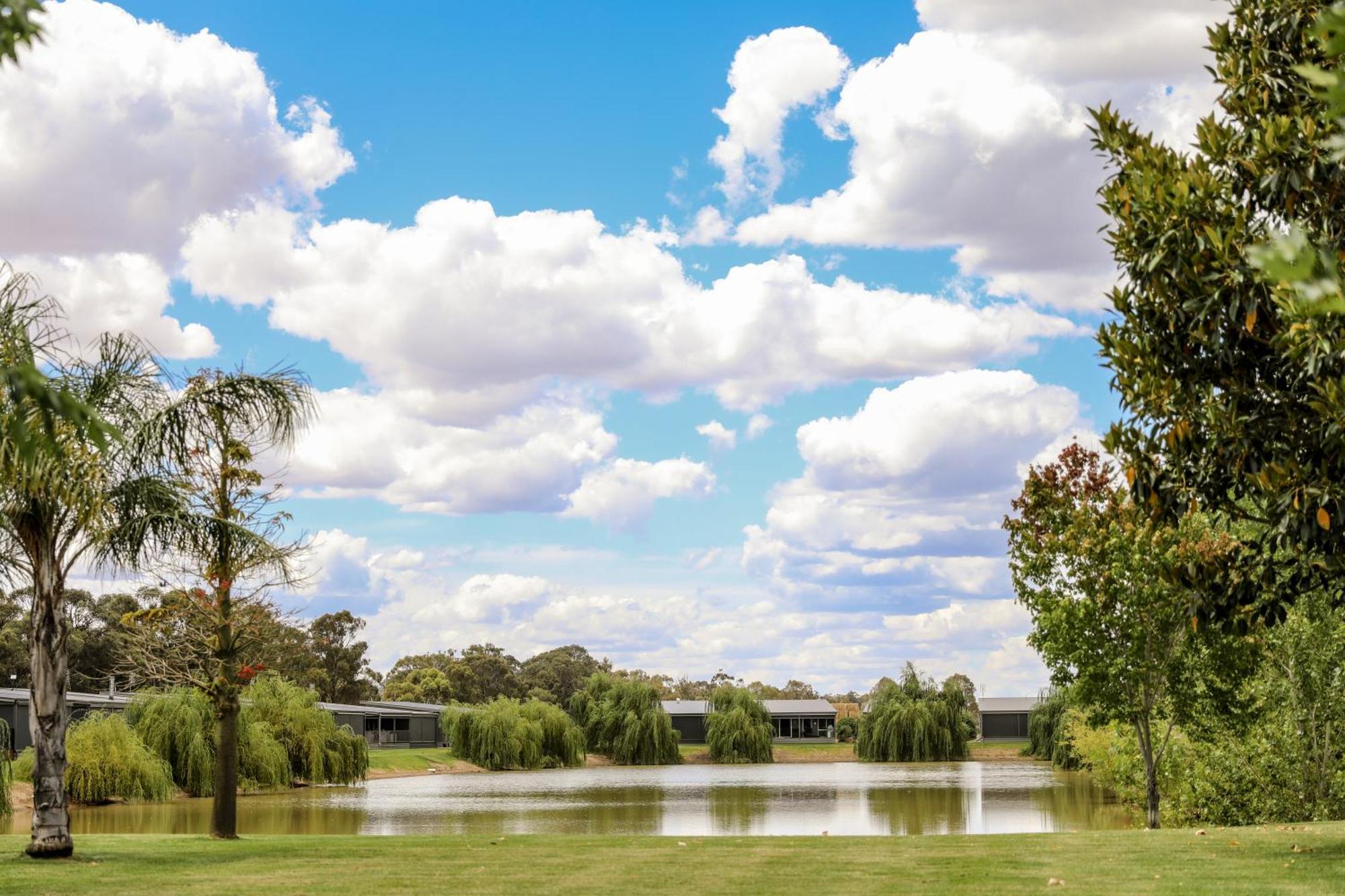 Discovery Parks - Moama Waters Kültér fotó